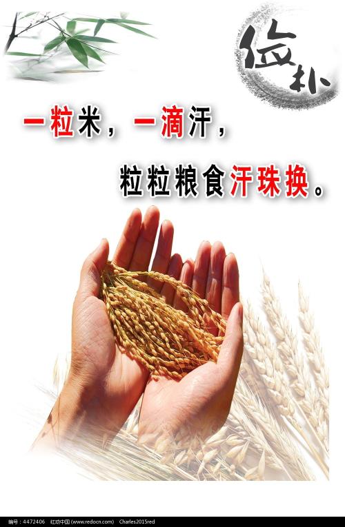 哪里有卖雅典表珍贵独特表款 系列腕表